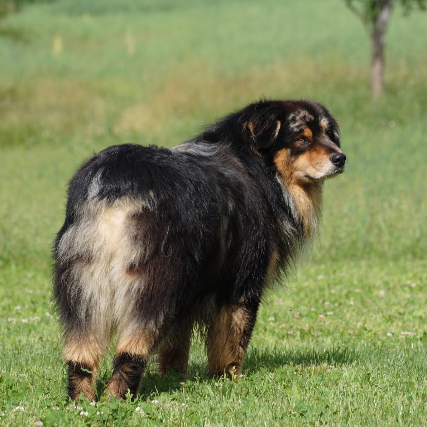 La portée 2026 est en cours de préparation!!!